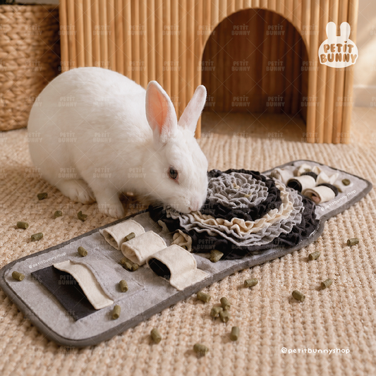 Alfombra interactiva tamaño L para conejos perros y gatos estimulación mental y juego diario