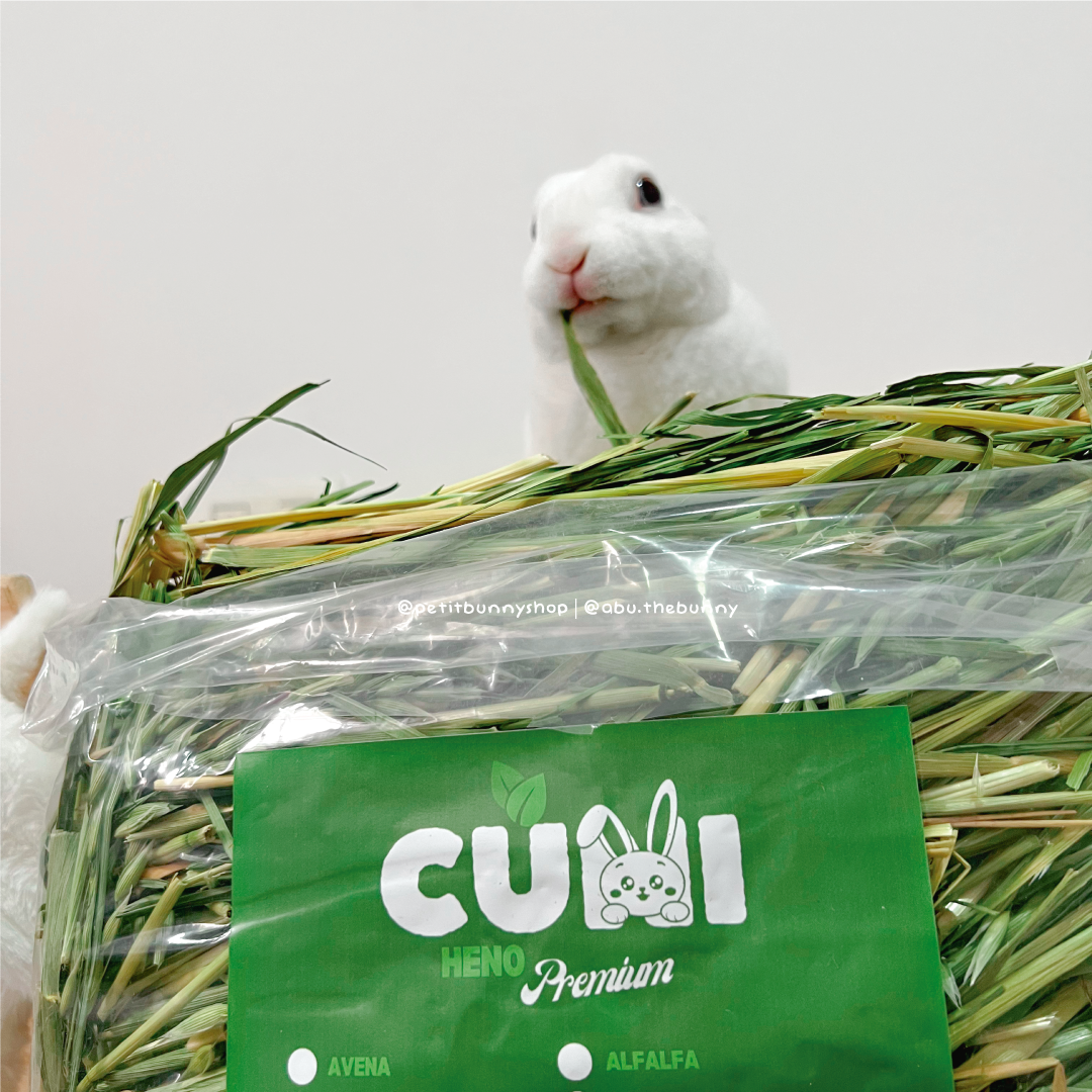 Heno de avena Cuni 1kg para digestión y desgaste dental en conejos
