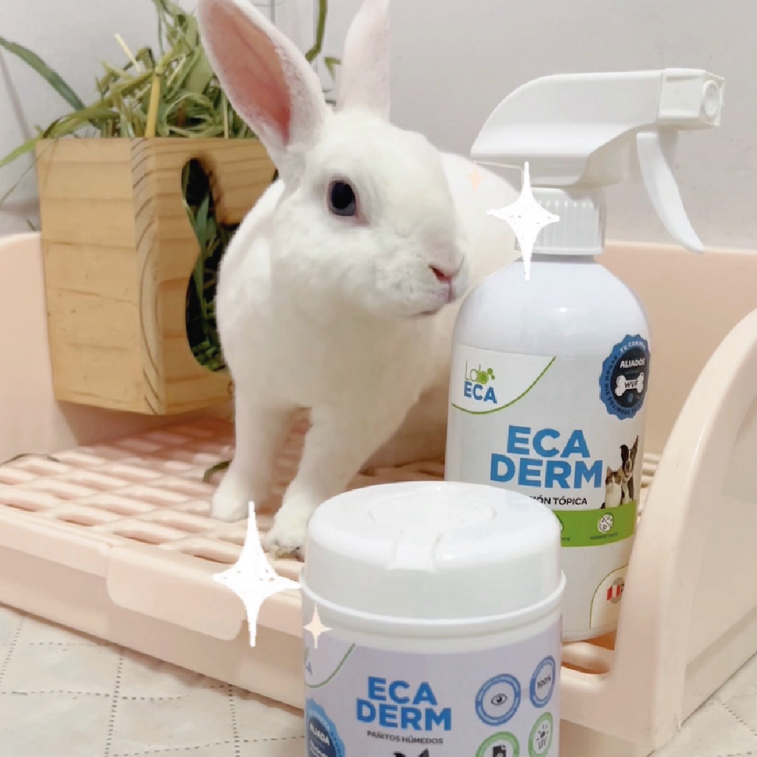 Categoría higiene y cuidados productos de limpieza para conejos sustratos pañales y Ecaderm