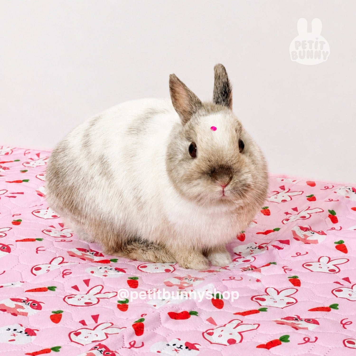 Tapete absorbente impermeable para conejos con diseño rosa y estampado exclusivo