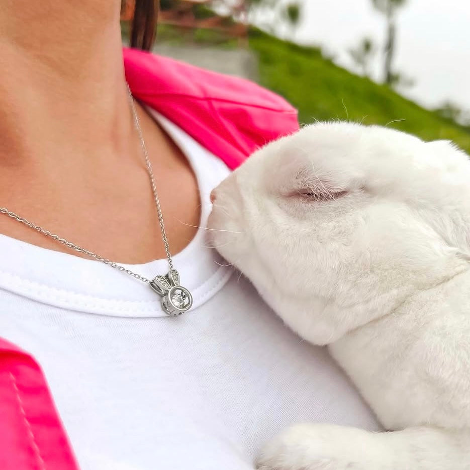 Para Bunnylovers