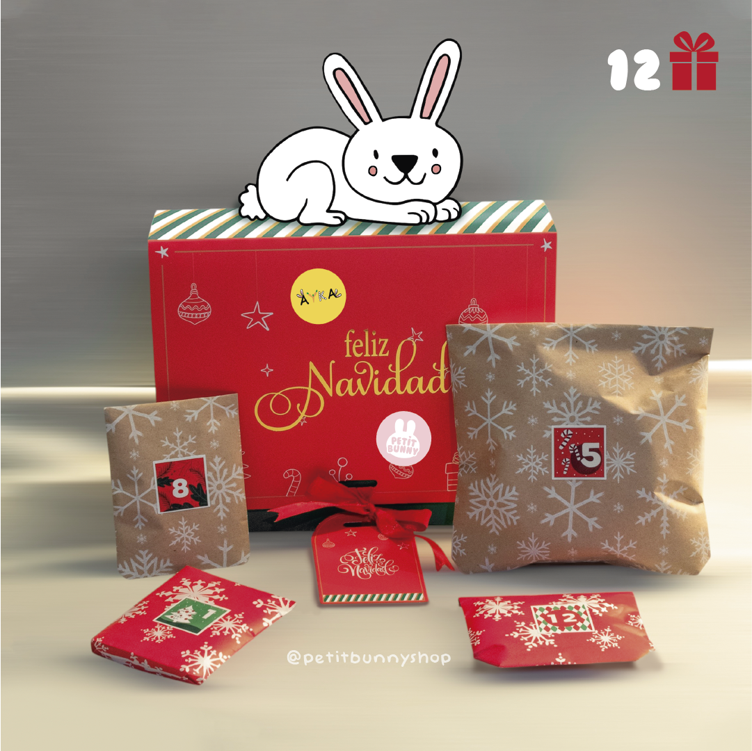 Calendario de Adviento - 12 REGALOS