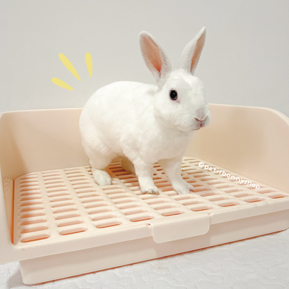 Bañito para conejos talla L recipiente para aseo fácil y rápido con arena sustrato polvo de baño en seco