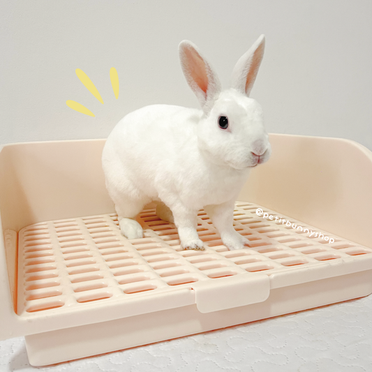 Bañito para conejos talla L recipiente para aseo fácil y rápido con arena sustrato polvo de baño en seco