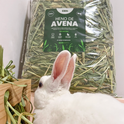 Heno de avena premium de Cuni, alimento principal de calidad y alimentación conejos adultos