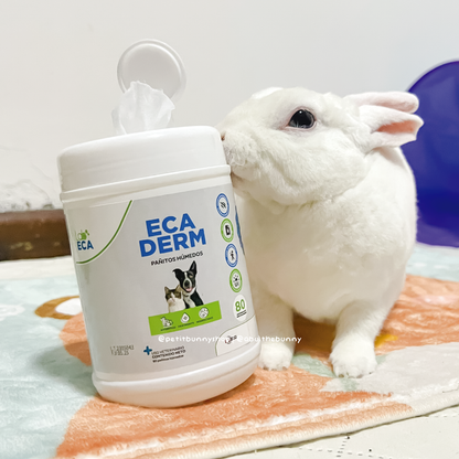 Pañitos Ecaderm de 80 unidades para limpiar la piel y patas de conejos perros o gato mascota