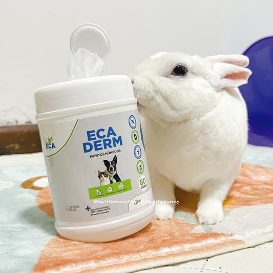 Pañitos Ecaderm de 80 unidades para limpiar la piel y patas de conejos perros o gato mascota