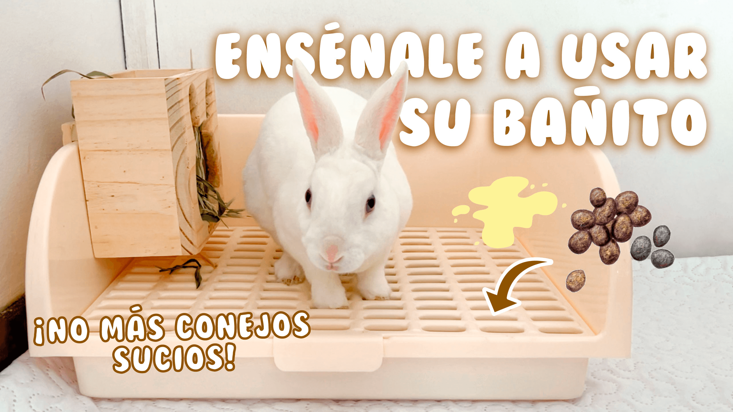 Cargar video: 