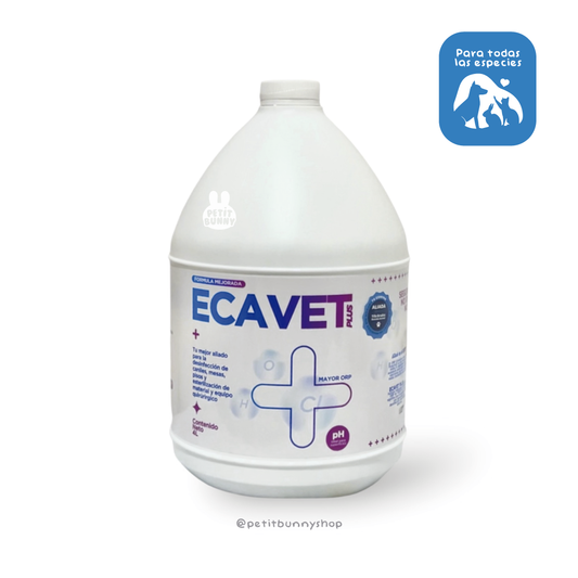 Ecavet Plus 4L desinfectante para espacios de conejos perros o gatos