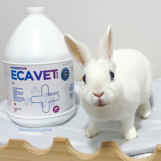Ecavet Plus 4 litros desinfectante para áreas de conejos usado por Abuthebunny