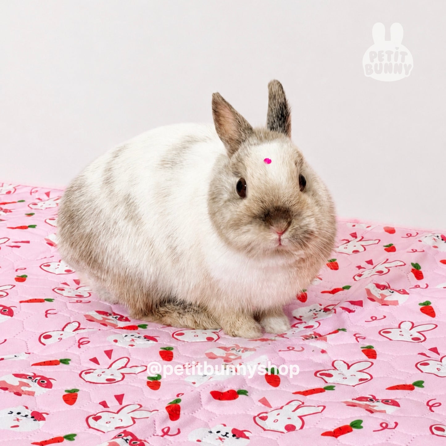 Tapete absorbente impermeable para conejos con diseño rosa y estampado exclusivo