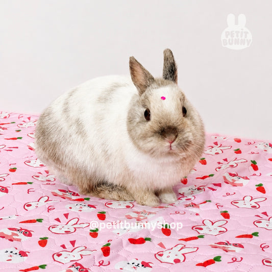 Tapete absorbente impermeable para conejos con diseño rosa y estampado exclusivo